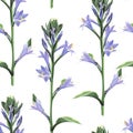 Watercolor style floral pattern, delicate flower wallpaper, violet bells. Royalty Free Stock Photo