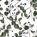 Watercolor style floral seamless pattern with eucalyptus. Hand painted pattern with branches and leaves of silver dollar and blue. Royalty Free Stock Photo