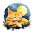 Watercolor style - happy cat sleeping against yellow moon with white background Royalty Free Stock Photo