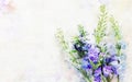 Watercolor style illustration and blue and purple flowers Royalty Free Stock Photo