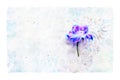 Watercolor style illustration and blue and purple flowers Royalty Free Stock Photo