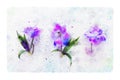 Watercolor style illustration and blue and purple flowers Royalty Free Stock Photo