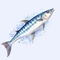 Watercolor Style Mackerel Fish Clipart Illustration
