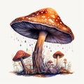 Watercolor-Style mystical fairy mushroom decorative graphic sketch with White Background