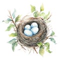 Watercolor-Style a nest with eggs with White Background