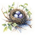 Watercolor-Style a nest with eggs with White Background