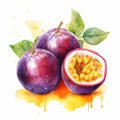 Watercolor-Style passion fruit with White Background Royalty Free Stock Photo