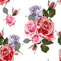 Watercolor style pink redviolet roses seamless pattern. Royalty Free Stock Photo