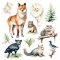 Watercolor-Style realistic wildlife animals and natural elements collection with White Background Royalty Free Stock Photo