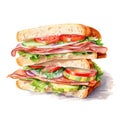 Watercolor-Style sandwich with ham and vegetables created with White Background Royalty Free Stock Photo