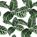 Watercolor style seamless pattern with tropical leaves. Beautiful allover print with hand drawn exotic plants. Royalty Free Stock Photo