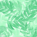 Watercolor style tropical vector pattern, palm leaves seamless. Abstract jungle leaf seamless pattern. Botanical floral background Royalty Free Stock Photo