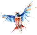 Watercolor-style vector illustration of bird.