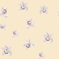 Watercolor style white orchid flowers seamless pattern. Decorative background in rustic boohoo style. Royalty Free Stock Photo