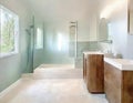 Watercolor of a stylish bathroom remodel with new flooring and created with