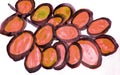 Watercolor stylized image of a bunch of red grapes isolated on a white background, cute hand drawing Royalty Free Stock Photo