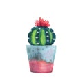 Watercolor succulent in a flowerpot.