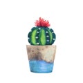 Watercolor succulent in a flowerpot. Isolated.