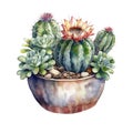 Succulent plant in a pot. Watercolor hand drawn illustration. AI Generated Royalty Free Stock Photo