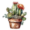 Succulent plant in a pot. Watercolor hand drawn illustration. AI Generated Royalty Free Stock Photo