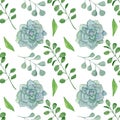 Watercolor succulents eucalyptus seamless pattern hand drawn