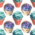 Watercolor succulents pattern. Seamless texture. Hand painted vintage gardening background.