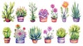 Watercolor succulents in pots isolated on white background. Hand drawn illustration Generative AI Royalty Free Stock Photo