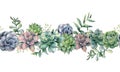 Watercolor succulents seamless bouquet. Hand painted green, violet, pink cacti, eucalyptus leaves and branches isolated