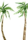 Watercolor summer beach palm tree. Frame greenery for wedding card, baby shower decor