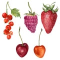 Watercolor summer berries set. Hand painted strawberry, raspberry, cherry and redcurrant isolated on white background