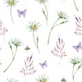 Watercolor summer chamomile meadow flowers seamless pattern