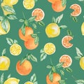 Watercolor summer collection fruits branch, lemons, orange and slice set. Hand painted  fruit on branch with slice isolated on whi Royalty Free Stock Photo