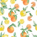 Watercolor summer collection fruits branch, lemons, orange and slice set. Hand painted fruit on branch with slice isolated on whi