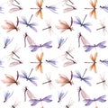 Watercolor summer dragonfly insect colourful seamless pattern