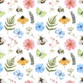 Watercolor summer floral seamless pattern with wild flowers, butterflies, bees on white background. hand painted meadow Royalty Free Stock Photo
