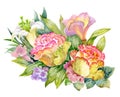 Watercolor Summer Garden Roses Blooming Flower on White Background.