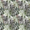 Watercolor tropical summer jungle forest pattern with hand painted cute koala bear, monstera and palm leaves on white background Royalty Free Stock Photo