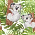 Summer tropical seamless pattern with cute koala bear and green exotic plants and leaves. Hand painted wild animal, palm leaf and Royalty Free Stock Photo