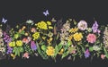 Watercolor summer meadow flowers, wildflowers seamless border