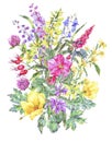 Watercolor summer medicinal floral card, Wild flowers plant Royalty Free Stock Photo