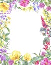 Watercolor summer medicinal floral vertical frame, Wildflowers plant Royalty Free Stock Photo