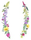 Watercolor summer medicinal floral wreath, Wildflowers plant Royalty Free Stock Photo