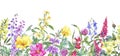 Watercolor summer medicinal floral seamless border, Wild flowers plant Royalty Free Stock Photo