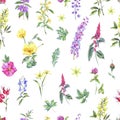 Watercolor summer medicinal floral seamless pattern, Wildflowers plant Royalty Free Stock Photo