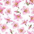 Watercolor summer pink flowers seamless pattern