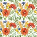 Watercolor red poppy and wheat in a meadow seamless pattern on white background. Wild flowers botanical print Royalty Free Stock Photo