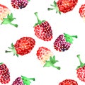 Watercolor summer raspberry pattern