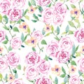 Watercolor summer  seamless pattern with flowers and branches. Flat Graphic florals. Mid and Large scale blooms. Royalty Free Stock Photo