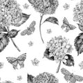 Watercolor summer seamless pattern with Monochrome hydrangea and butterflies