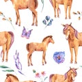 Watercolor summer seamless pattern of red horse and flowers Royalty Free Stock Photo